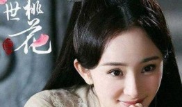 眼镜爆料莫三炮视频,眼镜爆料背后的惊人真相