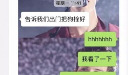 爆料网络暴力事件视频播放,视频揭露事件全貌