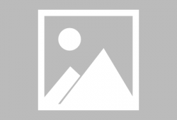 1月高招s最新爆料,独家爆料带你直击招生现场